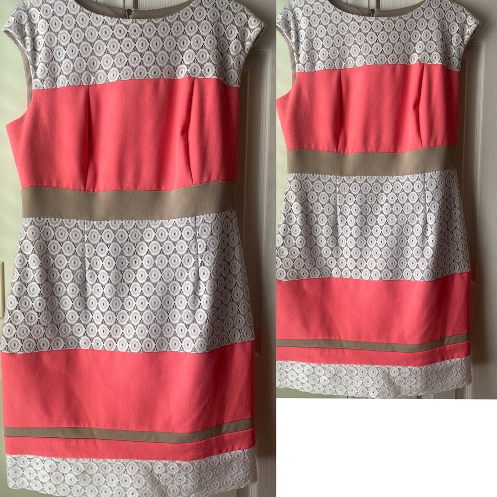 Sandra Darren Dress